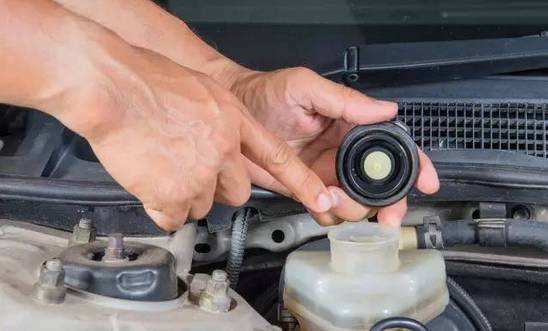 1521198494149750.jpg 4.jpg