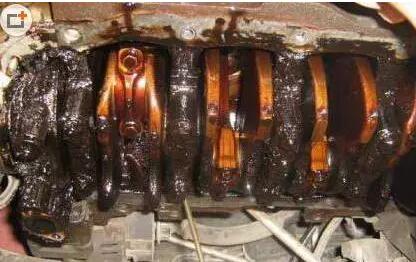 1544404455627790.jpg 11.jpg