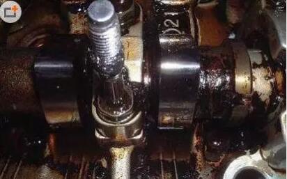 1544404465443528.jpg 12.jpg