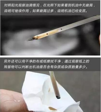 1544404571102153.jpg 16.jpg