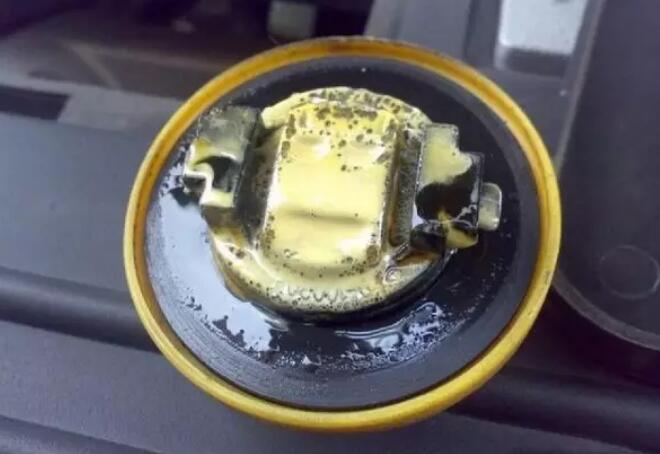 1545183949911068.jpg 1.jpg